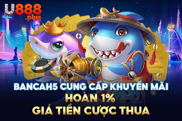 BanCaH5 cung cấp khuyến mãi hoàn 1% giá tiền tiền cược thua BanCaH5 cung cấp khuyến mãi hoàn 1% giá tiền tiền cược thua