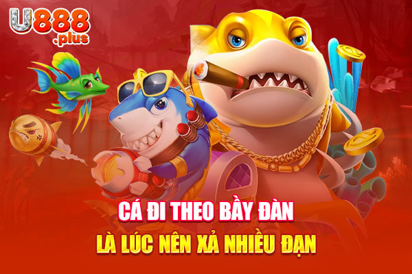 Cá đi theo bầy đàn là lúc nên xả nhiều đạn Cá đi theo bầy đàn là lúc nên xả nhiều đạn