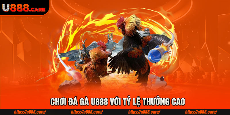Chơi đá gà U888 với tỷ lệ thưởng cao Chơi đá gà U888 với tỷ lệ thưởng cao